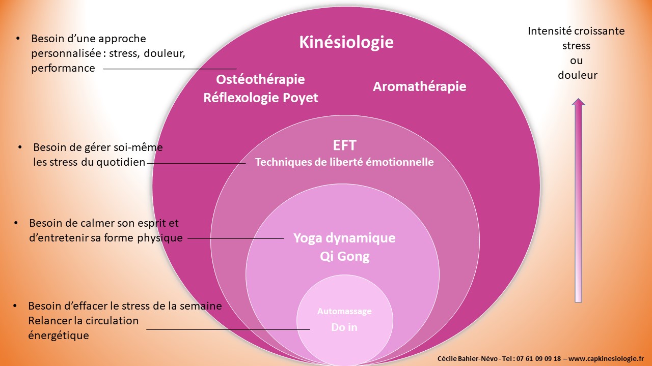 Stress Douleur Performance Cecile Bahier Nevo kinesiologue grenoble dec 2018